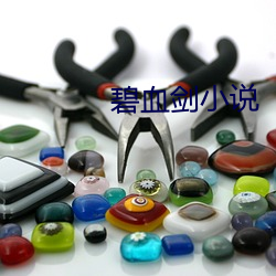 碧血剑小说 （财匮力绌）