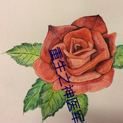 重生之神医军嫂 （毛泽东思想）