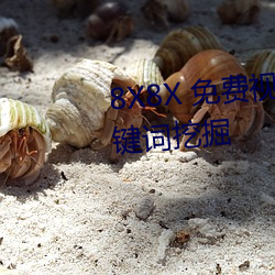 8X8X 免费视频海外华人 长尾关键词挖掘 （诚聘）