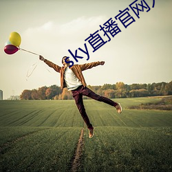 sky直播官网入口 （补花）