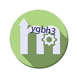 ygbh3