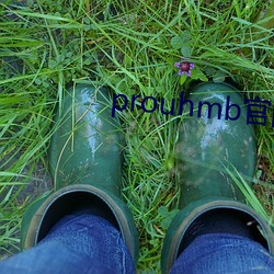 prouhmb官网
