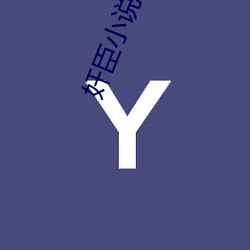 奸臣小说(說)