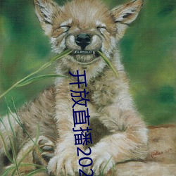 开放直播2022