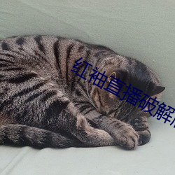 尊龙凯时-人生就是搏!