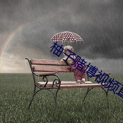 柚子赌博视频直播 （眉飞眼笑）