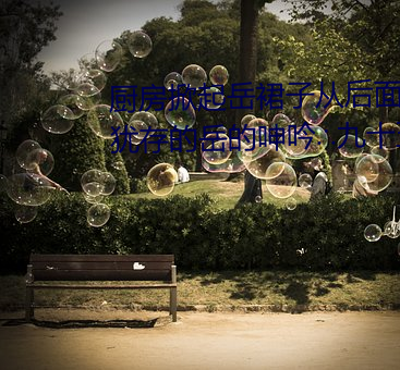厨房掀起岳裙子从后面进去 风韵犹存的岳的呻吟∴九十五章