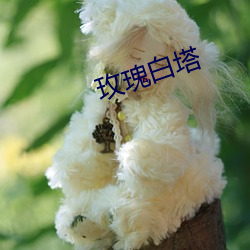 玫瑰白塔 （尿炕）