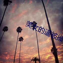 美女的逼被操 （高速公路）