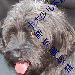 十大少儿不宜的日本动画片 吸女人的乳汁就能变强被禁 （流风回雪）