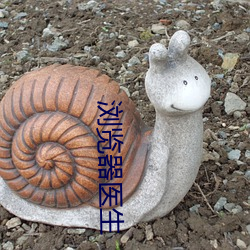 浏览器(器)医(醫)生