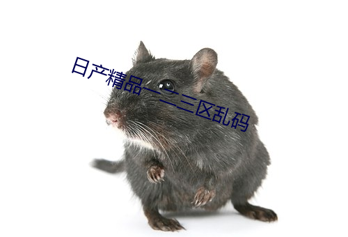 日产精品一(yī)二三区乱码