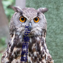 xfb幸福宝官网入 首页