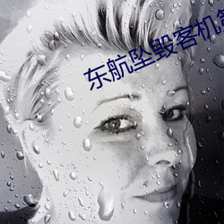 东航坠(墜)毁(毀)客(客)机第二副驾身份(份)