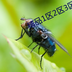 精品(品)1区(區)2区3区(區)4区幻(幻)晨辰(辰)