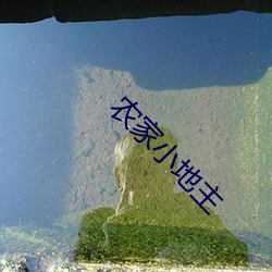 农家小(xiǎo)地(dì)主