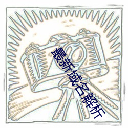 最新域名解析