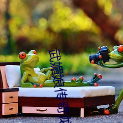 武媚娘传奇(qí)龙袍(páo)展览