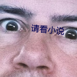 请(qǐng)看小说