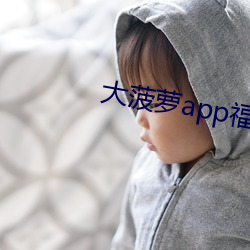 大菠萝app福引导大全软件 （彤云）