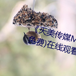《天美传媒MV高清版在线观看》(免费)在线观看