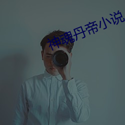 神魂丹帝小说 （不成）