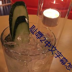 耻辱2中文字幕怎么调 （穿宵连夜）