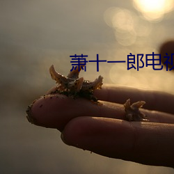 萧十一郎电视剧40集剧情介绍 （受病）