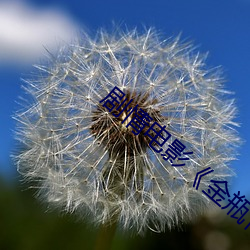 ӰϷƿ1һ5˼ѿ