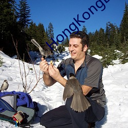 HongKongDoll未删减