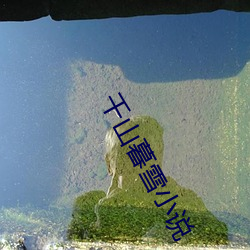 金年会 | 诚信至上金字招牌