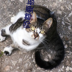 师(shī)尊要被坏了by谦野