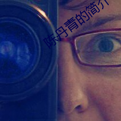 陈丹青的简介