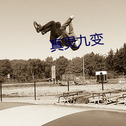 真(真)灵九变