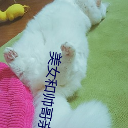 美女和帥哥親熱
