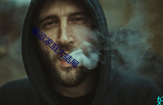 豪欲家庭大结局 （九牛二虎之力）