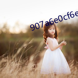 907a6e0cf6e