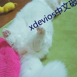 xdevios中(zhōng)文破解最新(xīn)版