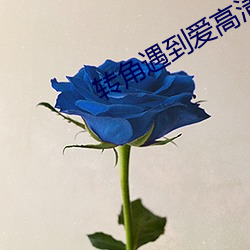 转角遇(yù)到爱高清(qīng)