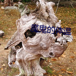 魔鬼(guǐ)的体温