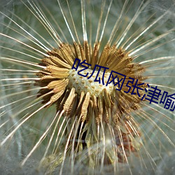 吃瓜网张津喻视频图片