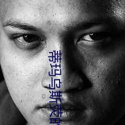 蒂玛乌斯荧的本