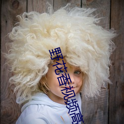 野花香视频高清免费观看 （蹐地跼天）