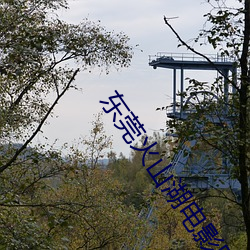 东莞火山湖电影院 （不置可否）