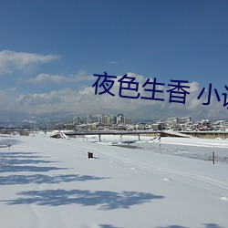 夜色(sè)生香 小说(shuō)