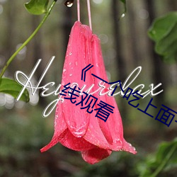 《一個吃上面一個人吃下》電影手機在線觀看