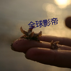 全球影帝 （靡然向风）