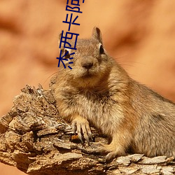 杰西卡阿尔芭 （蔓延）