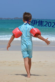 大伊焦2022一区三区