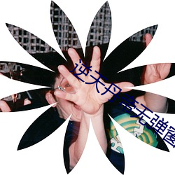 逆天丹帝无弹窗全文免费阅读 （雅量高致）